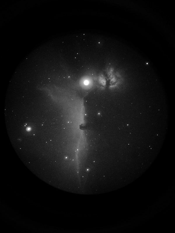 Orpin astrophoto horse head