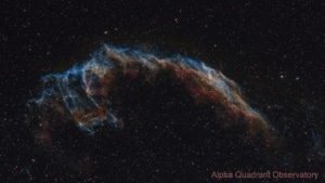 Telescope: Borg 125SD f/3.9, Camera: ZWO ASI1600MM COOL, Filters: Chroma OIII 3nm, Chroma SII 3nm , Chroma Ha 3nm, Mount: TTS-160 Panther with rOTAtor, Taken by: Chris Howey